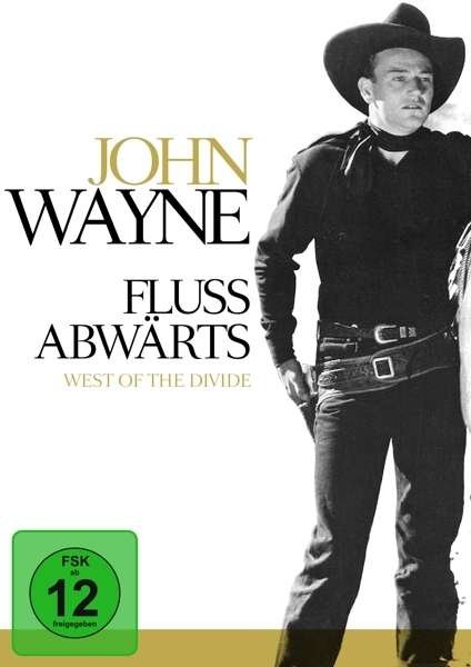 Cover for Flussabwarts (DVD) (2015)