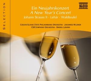 Cover for Wildner / Lenard/+ · Ein Neujahrskonzert (CD) (2007)