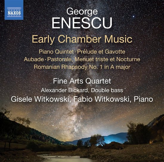 Enescu: Early Chamber Music - Fine Arts Quartet - Musik - NAXOS - 0747313448777 - 11. august 2023
