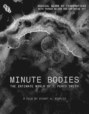 Cover for Minute Bodies (Blu-ray/DVD) (2019)