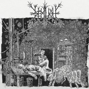 Em9t2ness of Van2s1ing - the Demo Tapes - Demilich - Musikk - Svart Records - 6430080237777 - 13. juni 2025