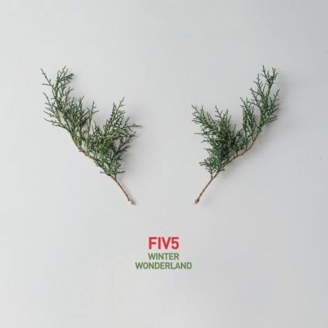 Winter Wonderland - Fiv5 - Música - TRJ RECORDS - 8146520180777 - 2018