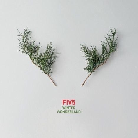 Cover for Fiv5 · Winter Wonderland (CD) (2018)