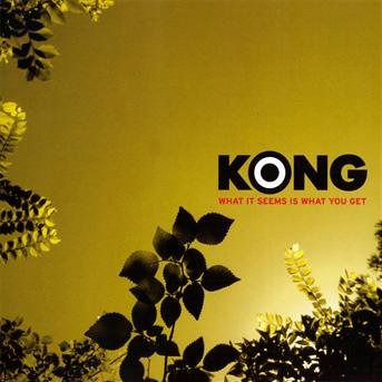 Cover for Kong · What It Seems Is What You Get (CD) (2009)