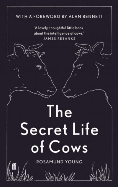 Cover for Rosamund Young · The Secret Life of Cows (Indbundet Bog) [Main edition] (2017)