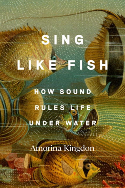 Cover for Amorina Kingdon · Sing Like Fish: How Sound Rules Life Under Water (Bound Book) (2024)