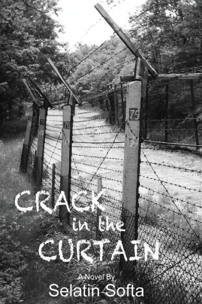 Cover for Selatin Softa · Crack in the Curtain (Paperback Book) (2014)