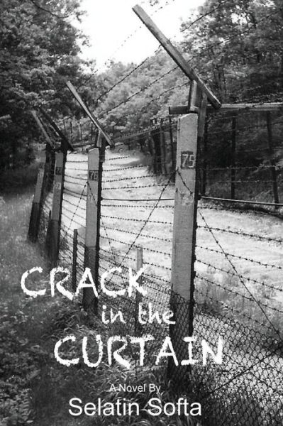 Cover for Selatin Softa · Crack in the Curtain (Taschenbuch) (2014)