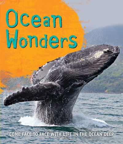 Cover for Kingfisher · Fast Facts! Ocean Wonders (N/A) (2016)