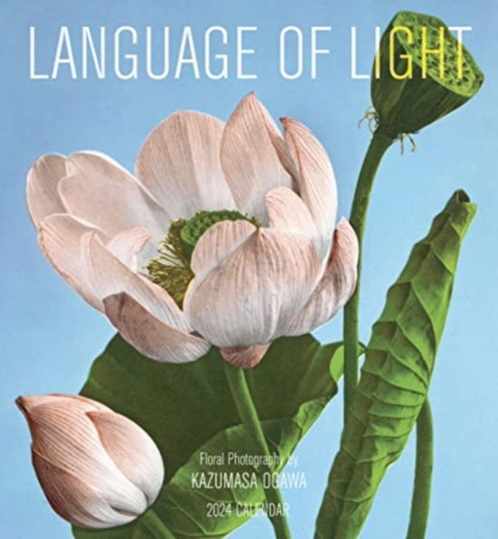 Cover for Pomegranate · Language of Light: Floral Photography by Kazumasa Ogawa 2024 Wall Calendar (Paperback Book) (2023)