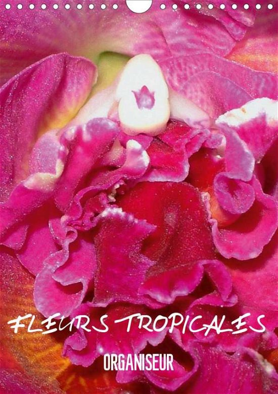 Fleurs tropicales / organiseur (C - Blank - Boeken -  - 9781325521777 - 