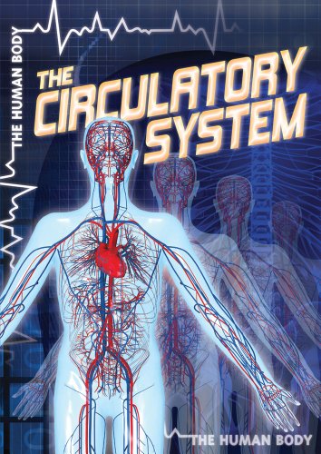 Cover for Autumn Leigh · The Circulatory System (Human Body (Gareth Stevens)) (Hardcover Book) (2012)