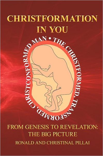 Cover for Pillai, Ronald &amp; Christinal · Christformation in You: from Genesis to Revelation: the Big Picture (Taschenbuch) (2012)