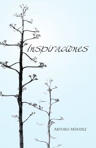 Inspiraciones - Arturo Méndez - Books - Palibrio - 9781463300777 - May 13, 2011