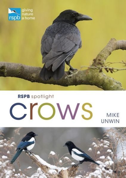 RSPB Spotlight Crows - RSPB - Mike Unwin - Kirjat - Bloomsbury Publishing PLC - 9781472971777 - torstai 18. maaliskuuta 2021