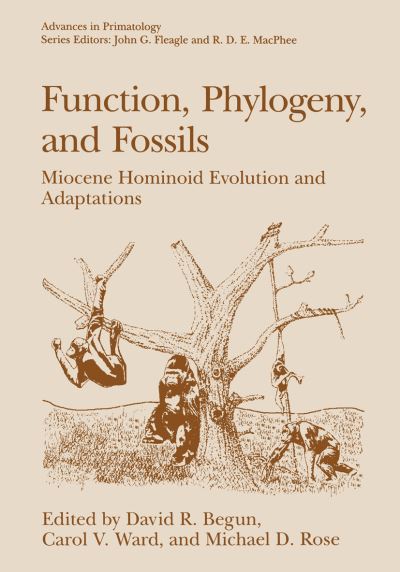 Cover for David R Begun · Function, Phylogeny, and Fossils: Miocene Hominoid Evolution and Adaptations (Pocketbok) [Softcover Reprint of the Original 1st Ed. 1977 edition] (2013)