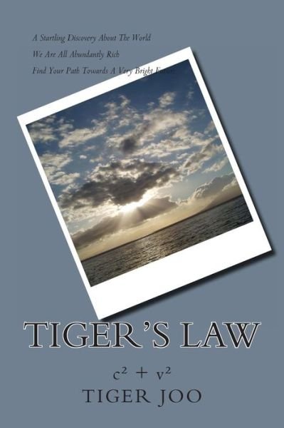 Cover for Tiger Joo · Tiger's Law (Paperback Bog) (2014)