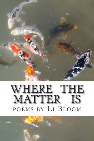 Cover for Li Bloom · Where the Matter Is: Sub-verse (Taschenbuch) (2015)