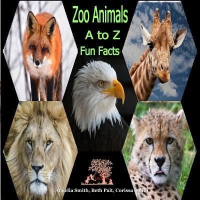 Cover for Beth Pait · Zoo Animals (Pocketbok) (2018)