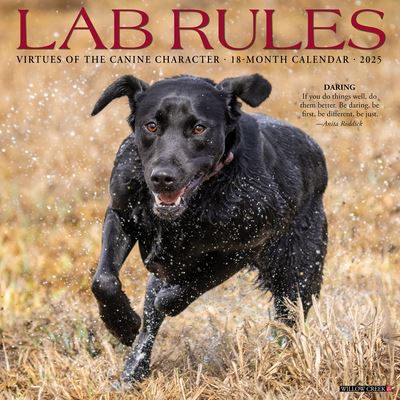 Cover for Willow Creek Press · Lab Rules 2025 12 X 12 Wall Calendar (Calendar) (2024)