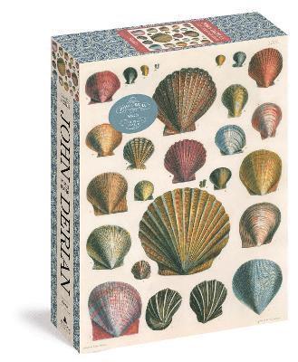 Cover for John Derian · John Derian Paper Goods: Shells 1,000-Piece Puzzle - John Derian (Book) (2022)