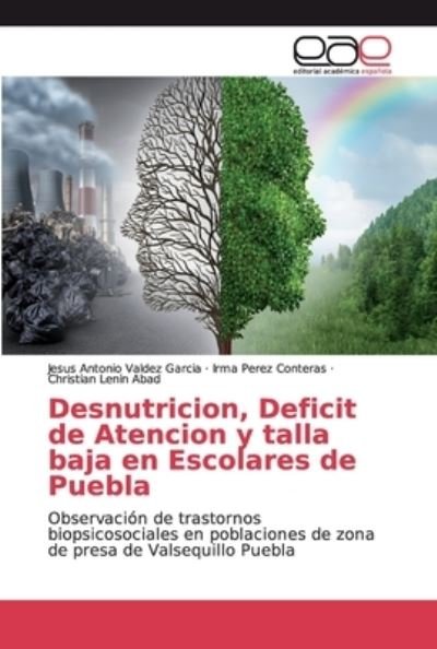 Cover for Jesús Antonio Valdez García · Desnutricion, Deficit de Atencion y talla baja en Escolares de Puebla (Taschenbuch) (2019)