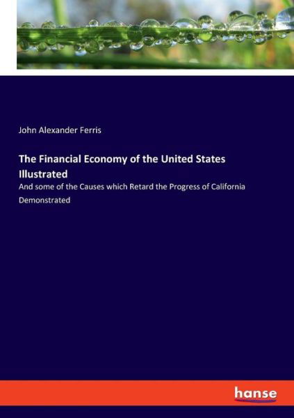 The Financial Economy of the Uni - Ferris - Boeken -  - 9783337764777 - 16 april 2019