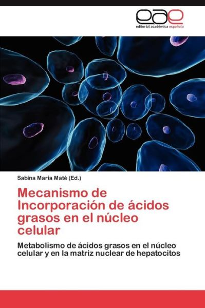 Cover for Mate Sabina Maria · Mecanismo De Incorporacion De Acidos Grasos en El Nucleo Celular (Paperback Book) (2012)