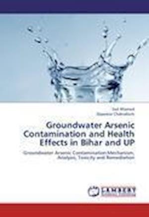 Groundwater Arsenic Contaminatio - Ahamed - Bøger -  - 9783659220777 - 