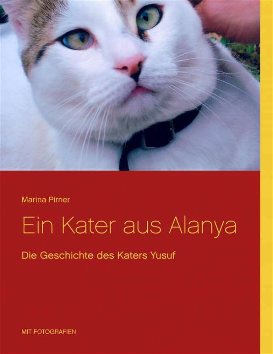 Cover for Pirner · Ein Kater aus Alanya (Bok)