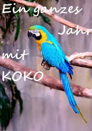 Cover for Fee · Ein ganzes Jahr mit Koko (Bok)