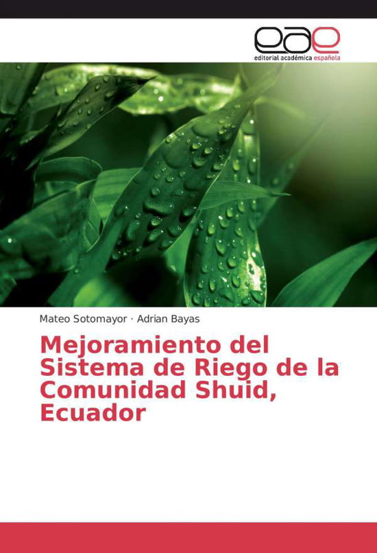 Cover for Sotomayor · Mejoramiento del Sistema de R (Bog)