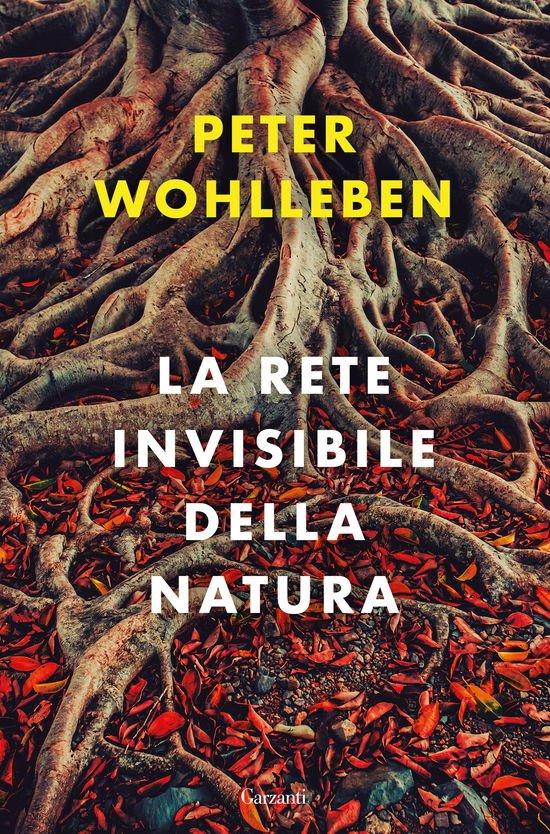 La Rete Invisibile Della Natura - Peter Wohlleben - Bøker -  - 9788811601777 - 