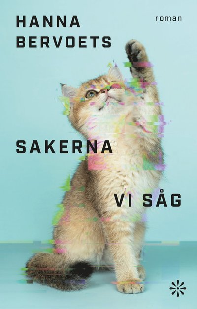 Cover for Hanna Bervoets · Sakerna vi såg (Bound Book) (2023)