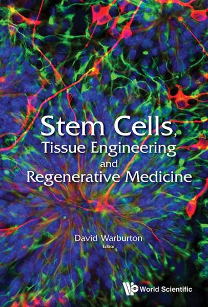 Cover for David Warburton · Stem Cells, Tissue Engineering And Regenerative Medicine (Hardcover Book) (2015)