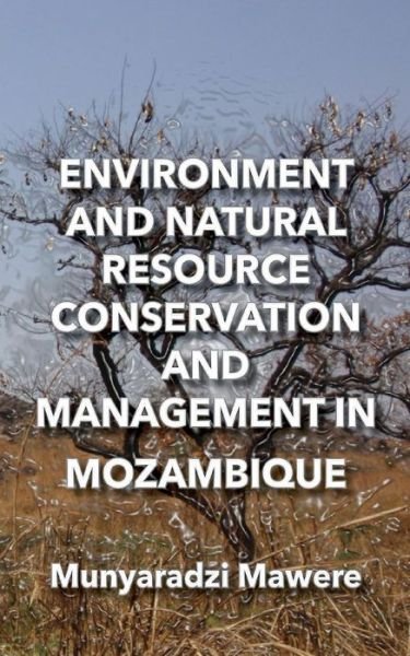 Cover for Munyaradzi Mawere · Environment and Natural Resource Conservation and Management in Mozambique (Paperback Book) (2013)