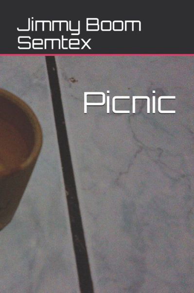 Cover for Jimmy Boom Semtex · Picnic (Paperback Book) (2020)