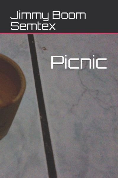 Cover for Jimmy Boom Semtex · Picnic (Paperback Book) (2020)