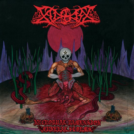Cover for Sadokist · Necrodual Dimension Funeral Storms (LP) (2020)