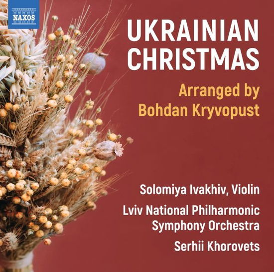 Cover for Lviv National Philharmonic Symphony Orchestra · Gruber, Kryvopust &amp; Zhdankin: Ukrainian Christmas (CD) (2024)