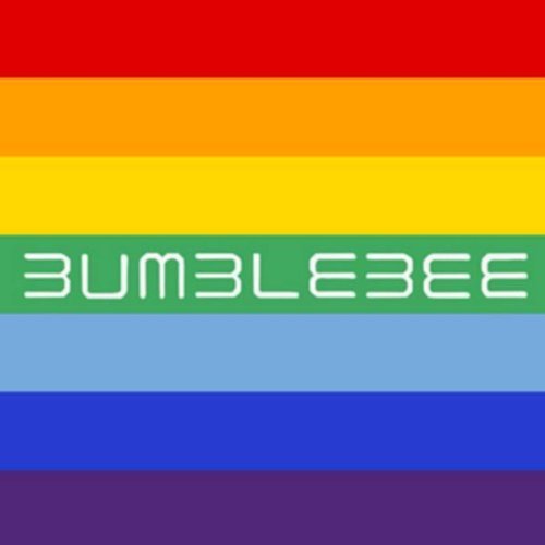 Cover for Bumblebee · Irainbows (CD) (2009)
