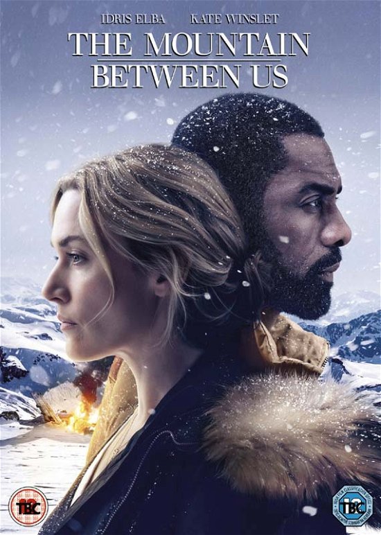Cover for The Mountain Between Us (DVD) (2018)