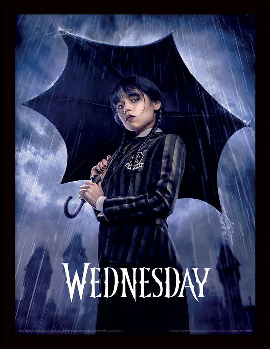 Cover for Wednesday · WEDNESDAY - Downpour - Collector Print 30x40cm (Zabawki)