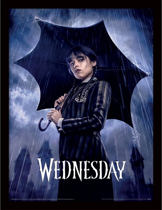 Cover for Wednesday · Downpour - Collector Print 30x40cm (Toys)