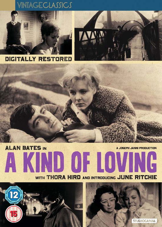 Cover for Fox · Kind Of Loving (DVD) (2016)