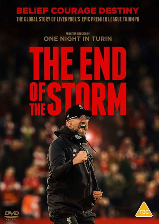 Cover for The End of the Storm · The End of the Storm DVD (DVD) (2020)