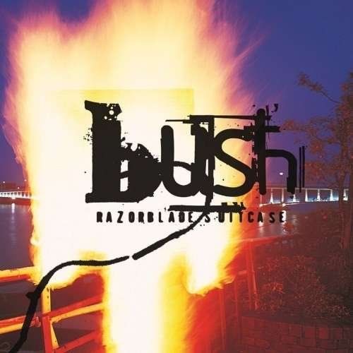 Bush-razorblade.. - LP - Musiikki - Music on Vinyl - 8718469537778 - tiistai 12. toukokuuta 2015