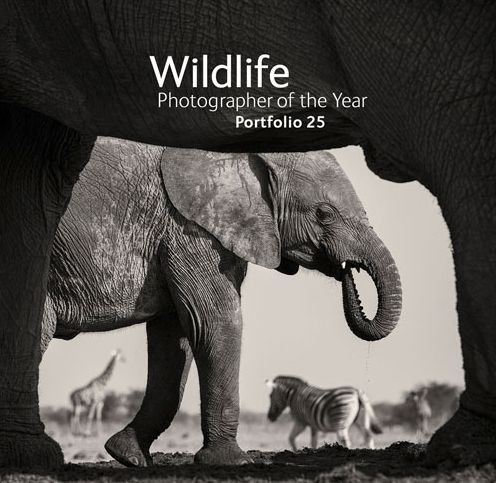 Cover for Natural History Museum · Wildlife Photographer of the Year: Portfolio 25 - Wildlife Photographer of the Year (Hardcover bog) [Hardback edition] (2015)