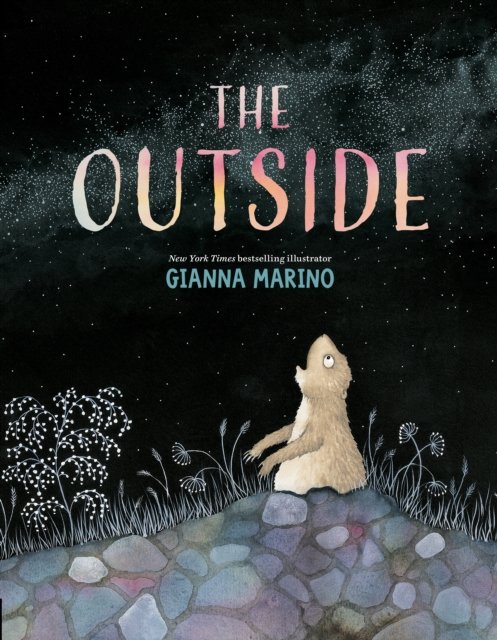 Cover for Gianna Marino · The Outside (Hardcover bog) (2024)