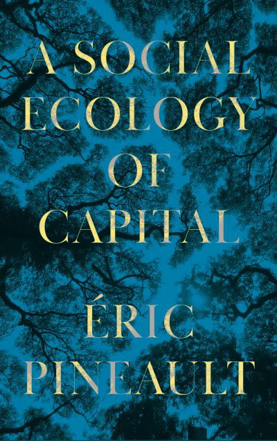 Cover for Pineault, Eric (Universite du Quebec a Montreal) · A Social Ecology of Capital (Paperback Bog) (2023)